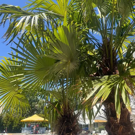 Aparthotel Aпартаменти мини в бей вю