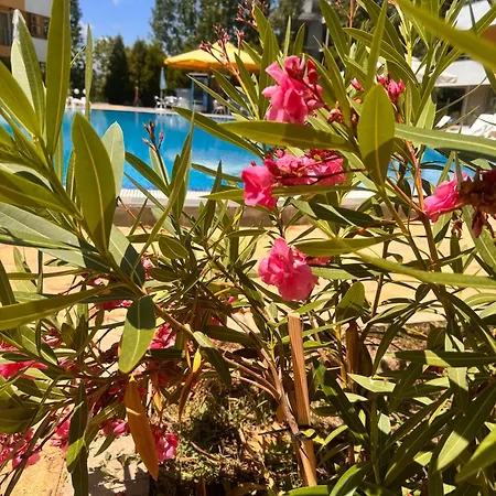 Aпартаменти мини в бей вю Aparthotel