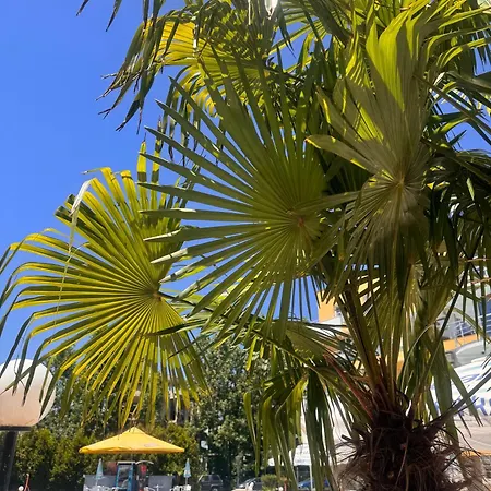 Aparthotel Aпартаменти мини в бей вю Tsarevo