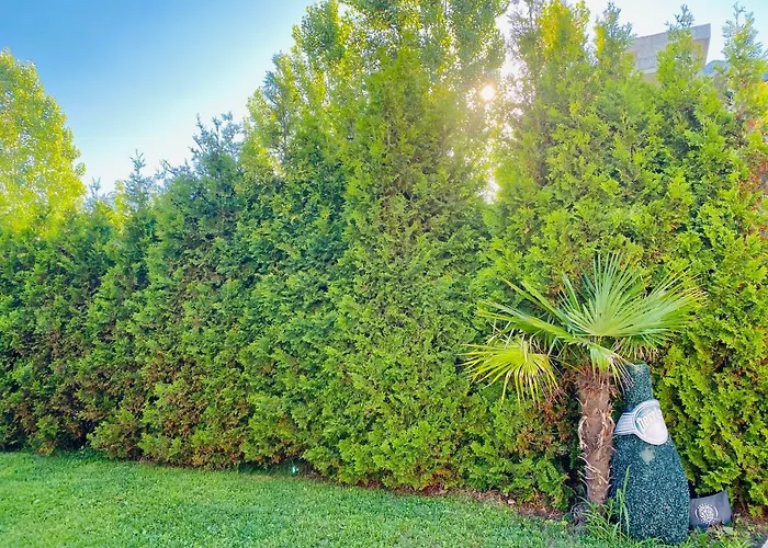 Aпартаменти мини в бей вю 4* צרבו