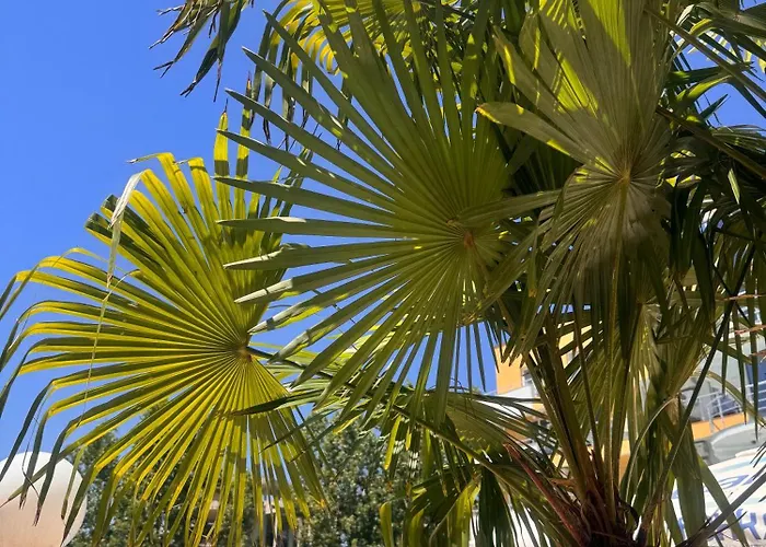 Aparthotel Aпартаменти мини в бей вю Tsarevo