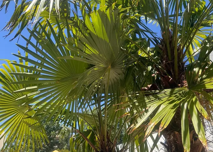 Апартхотел Aпартаменти мини в бей вю