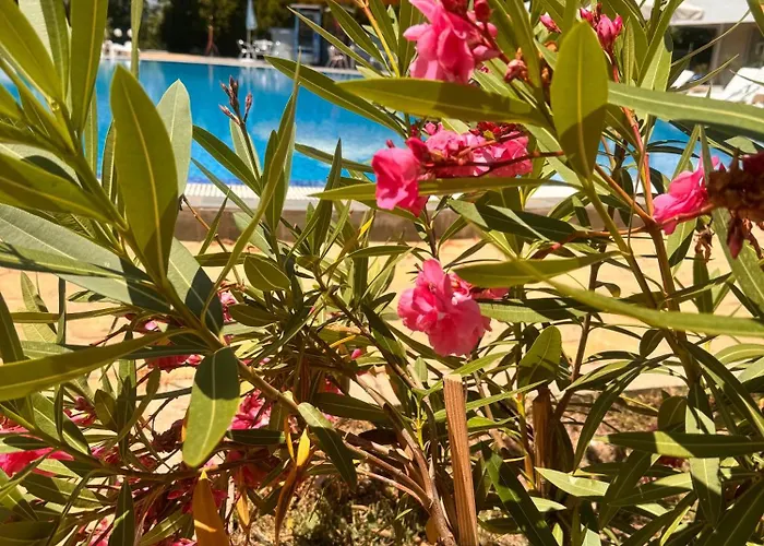 Aпартаменти мини в бей вю Апартхотел